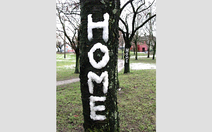 Snow & Ice Text | Home-Grown-Home 2 hours later, 2011